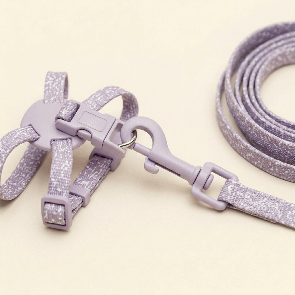 Cat harness with leash