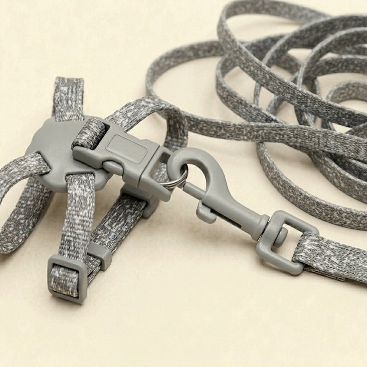 Cat harness with leash