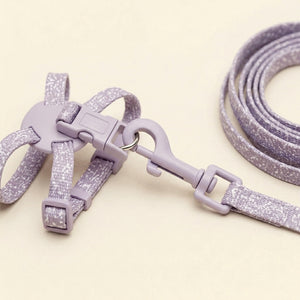 Cat harness with leash