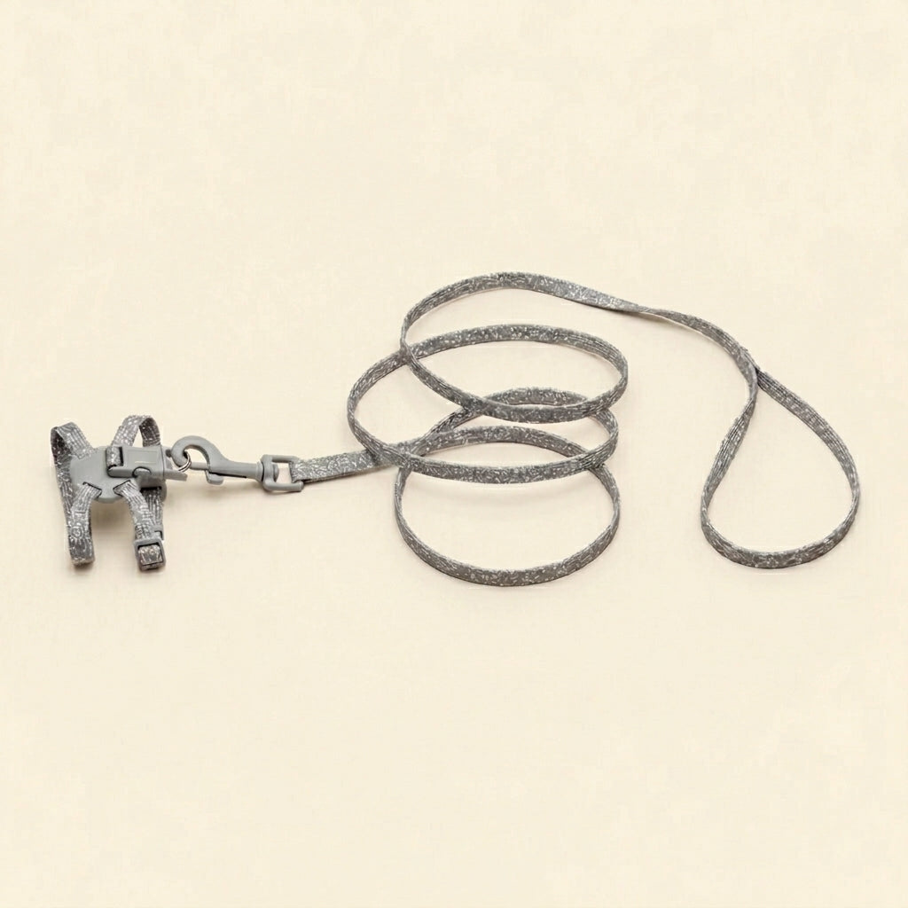 Cat harness with leash