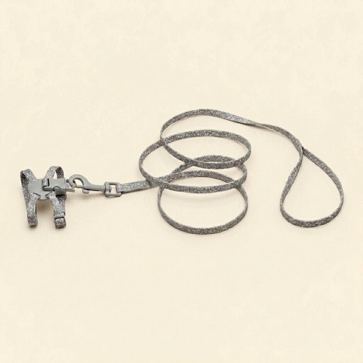 Cat harness with leash