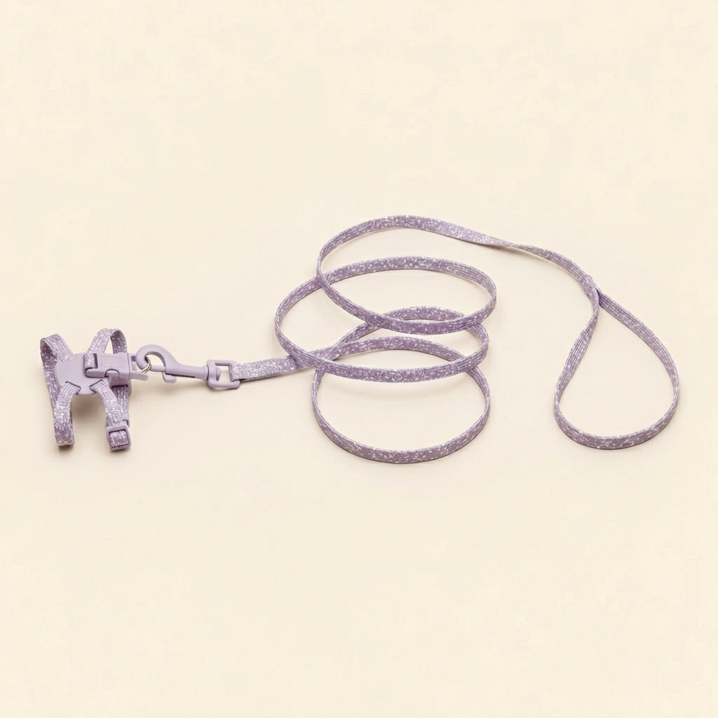 Cat harness with leash