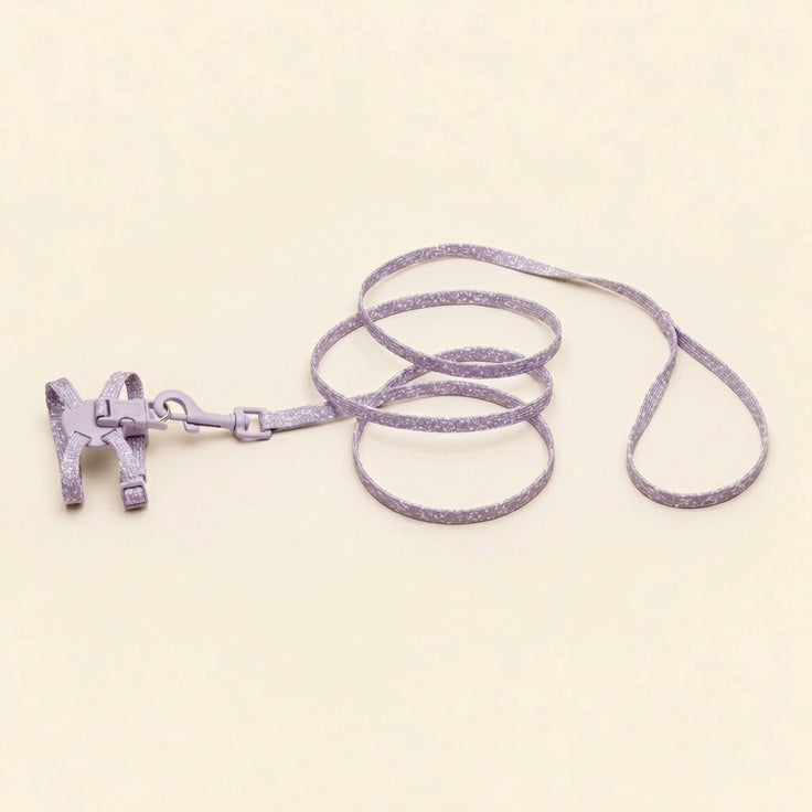 Cat harness with leash