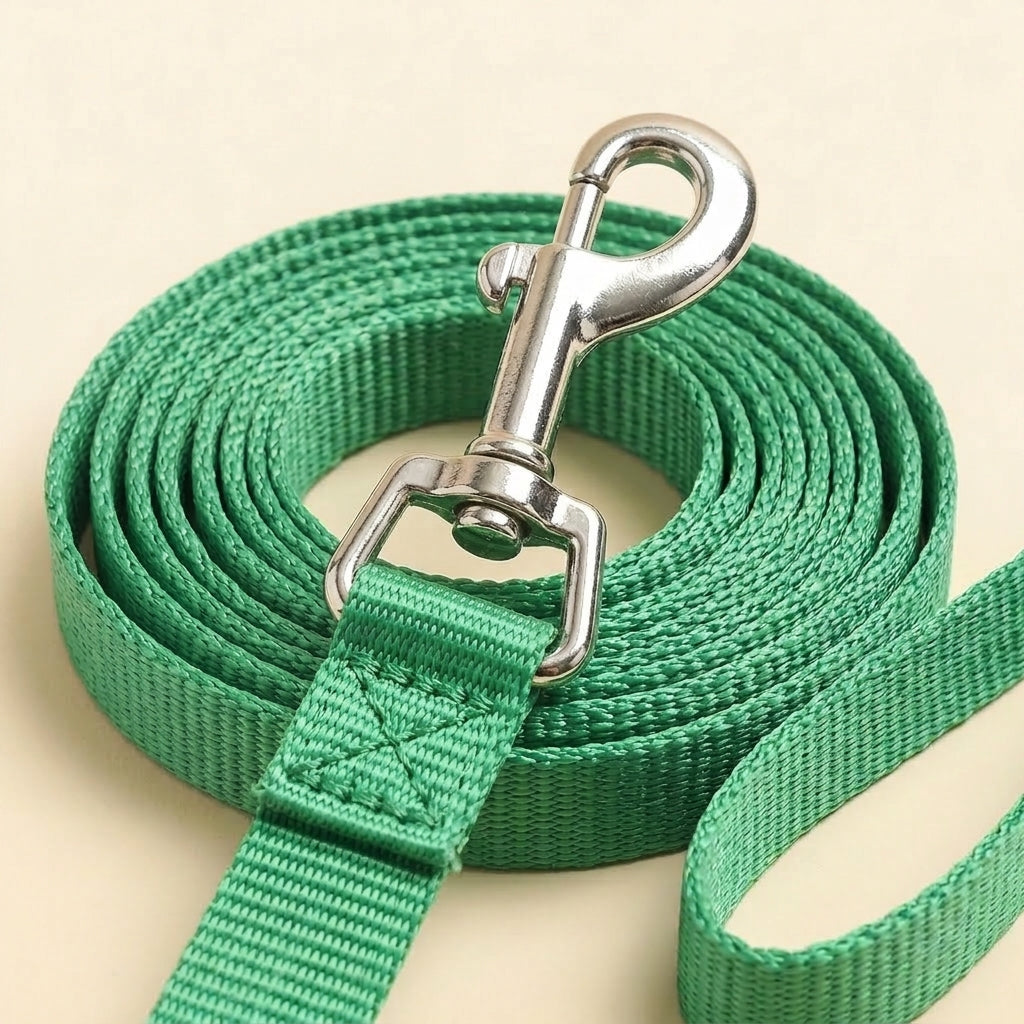Frog cat harness and leash set