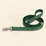 Classic nylon cat leash