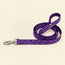 Classic nylon cat leash
