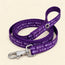 Classic nylon cat leash