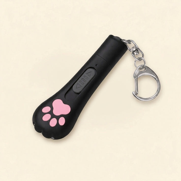 Laser Pointer for Cats