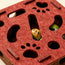 Fun Box for Cats