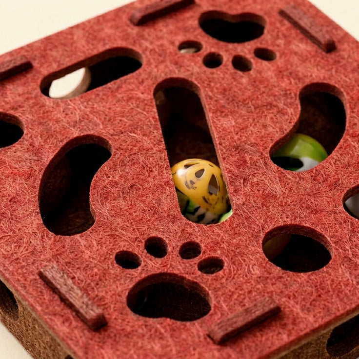 Fun Box for Cats
