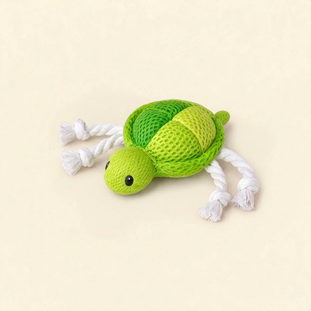 Turtle toy with catnip