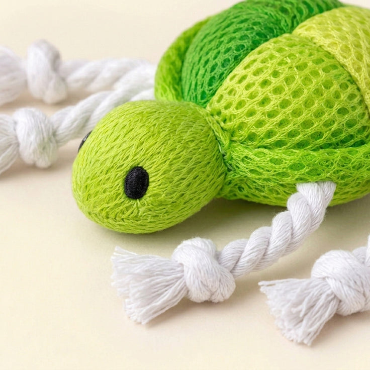 Turtle toy with catnip