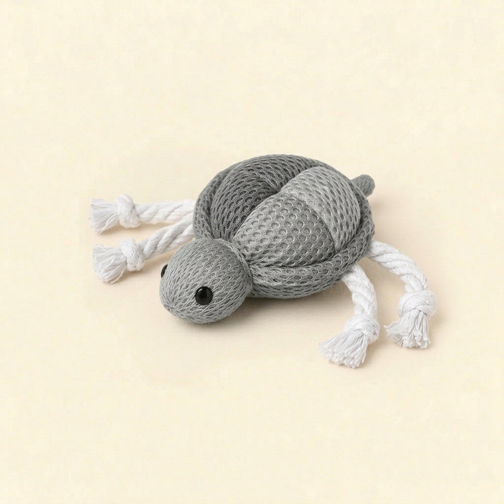 Turtle toy with catnip