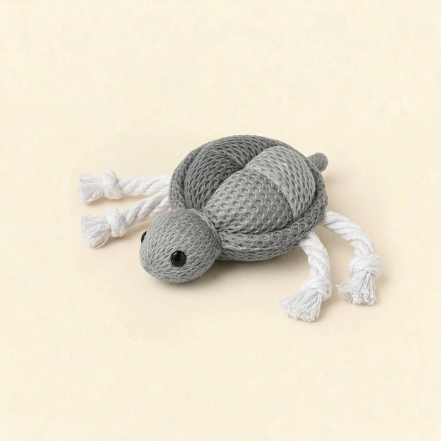 Turtle toy with catnip