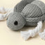 Turtle toy with catnip