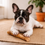Doggo Chew — Olive Wood