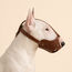 Leather Dog Muzzle — Bull Terrier