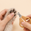 Mini Scissor Nail Clipper for Small Pets