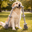 Rope Tug Dog Toy