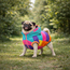 Dog Vest – BrightTail