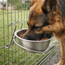 Hanging Dog Bowl