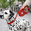 Automatic Dog Leash