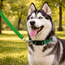 Durable Dog Leash