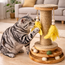 Interactive cat scratching toy