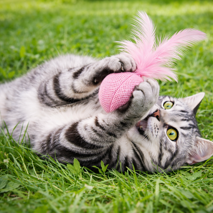 Feather Ball for Cats