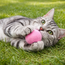 Mini Felt Ball for Cats