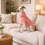 Cozy Knit Dog Sweater