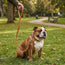 Leather Dog Leash