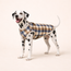 PlaidPaw Jacket