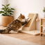 SoftClimb Cat Scratcher
