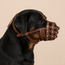 Hard Leather Dog Muzzle for Large Breeds — Rottweiler