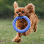 Cotton Rope Ring Dog Toy