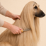 Dog Grooming Comb with Dense Metal Teeth & Wooden Handle — All Breeds