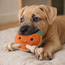 ECO Dog Toy — Jute Apple