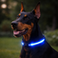 Glow In The Dark Collar