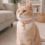 Charm Leather Collar