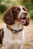Andrew Rope Collar