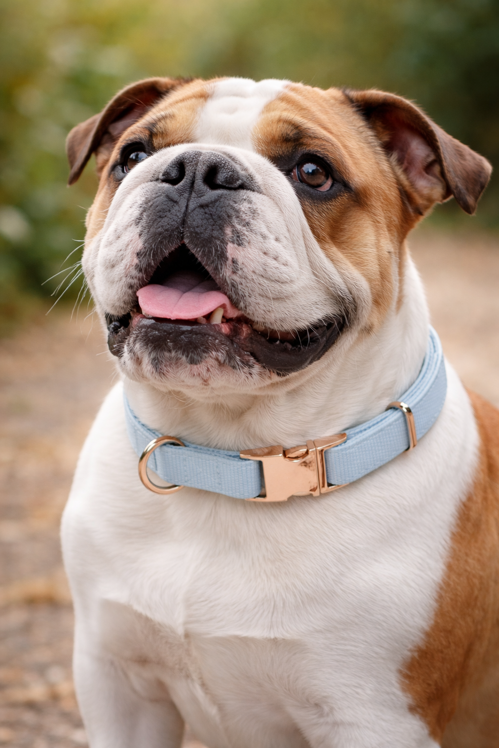 Chuck Soft Collar