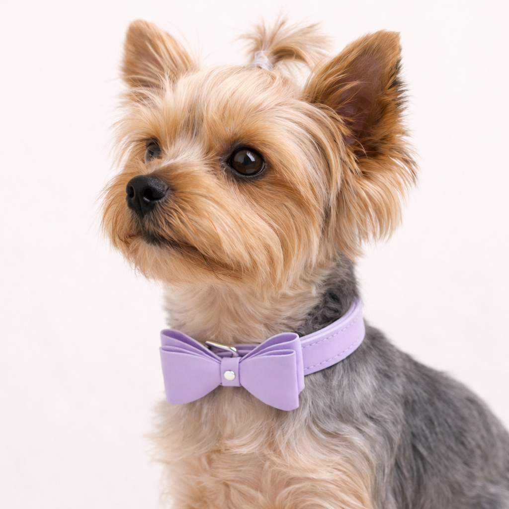 Bowie Leather Collar