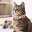 Dino Adjustable Collar