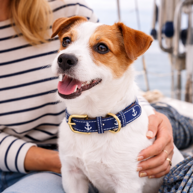 Sailors Leather Collar
