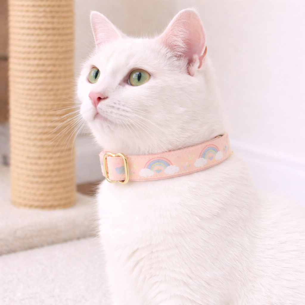 Fairy Adjustable Collar