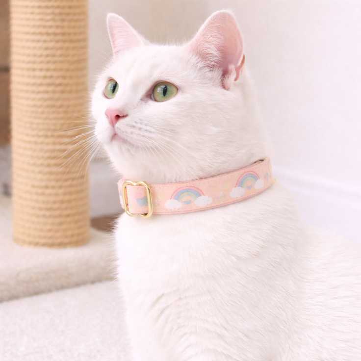 Fairy Adjustable Collar