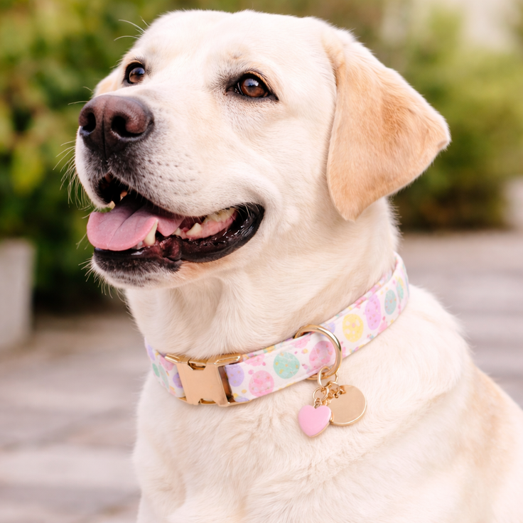 Easter Soft Collar
