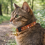 Woodlands Adjustable Collar