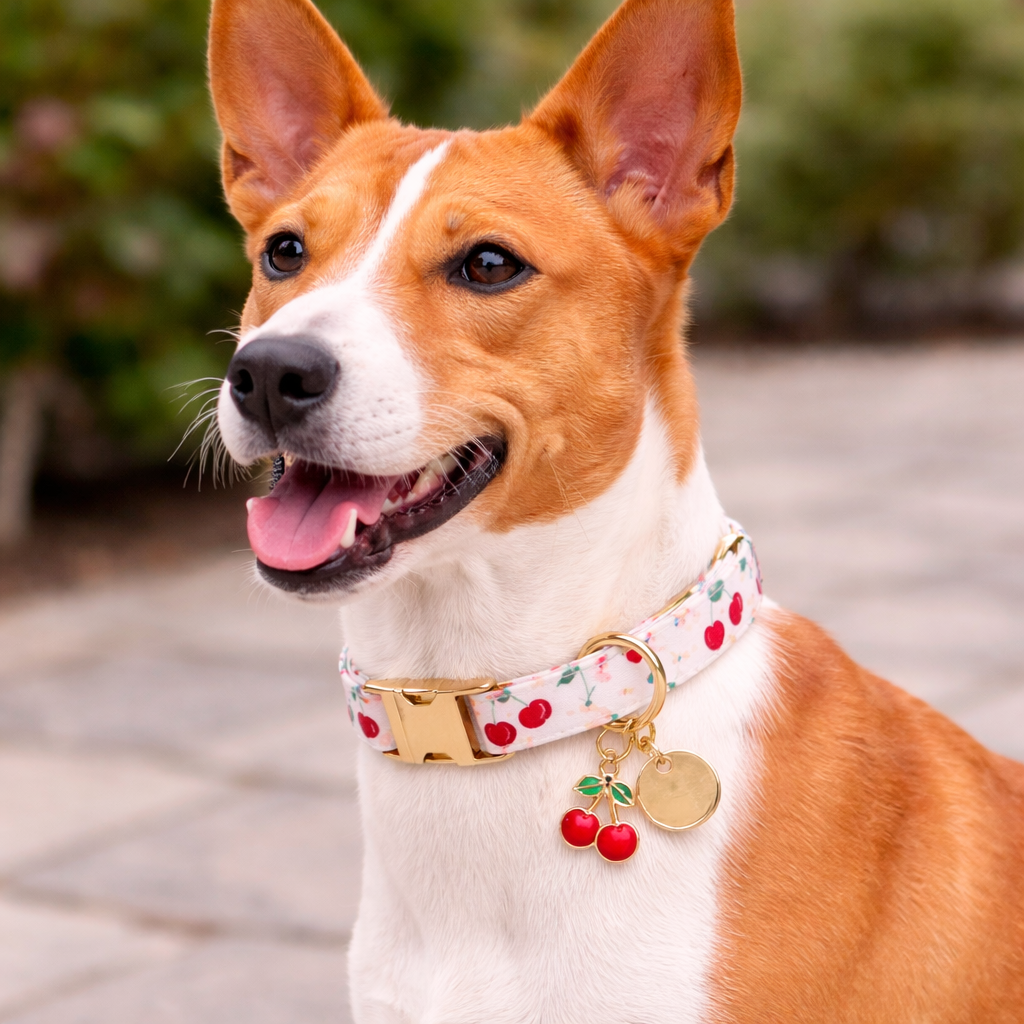 Tutti Frutti Collar